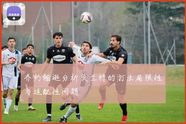 乔约翰逊分析莫兰特的打法局限性与适配性问题
